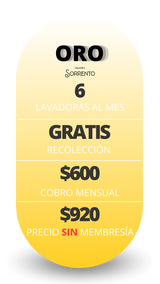 Membresía de Lavado