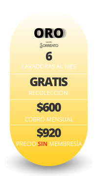 Membresía de Lavado