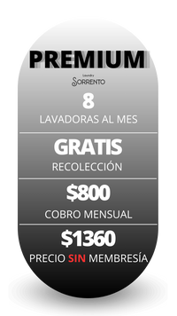 Membresía de Lavado